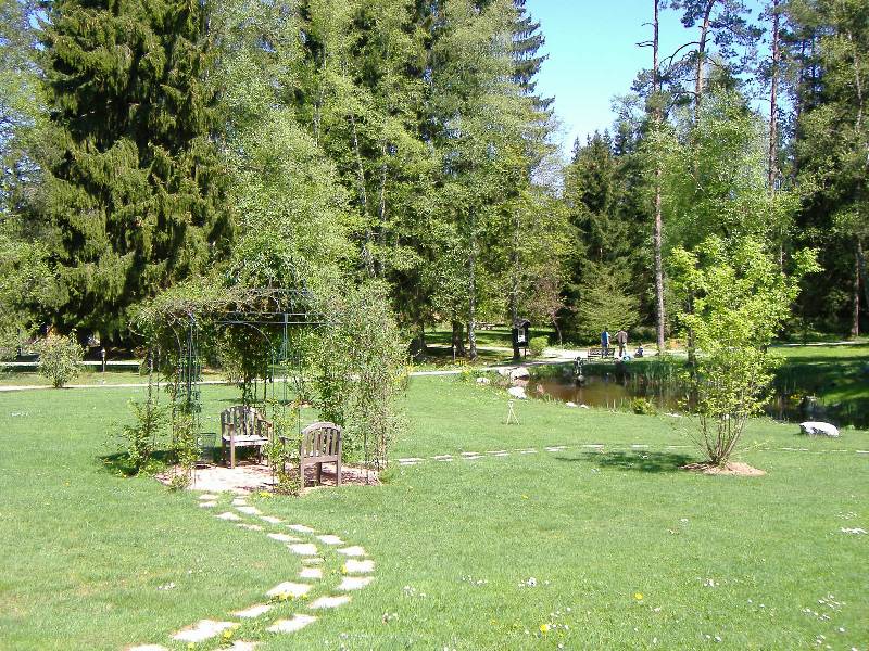 Parkhotel Adler Hinterzarten (16) 